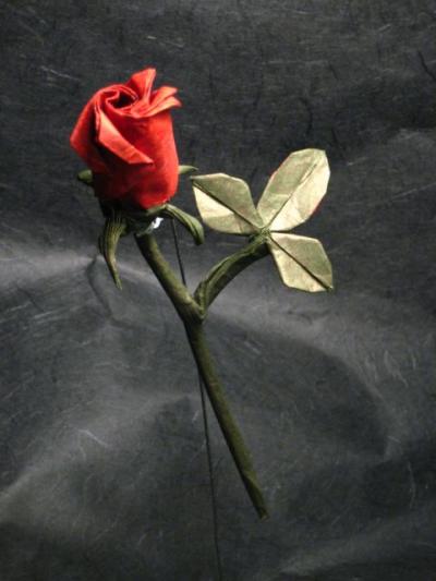 0209/Rose0213.jpg