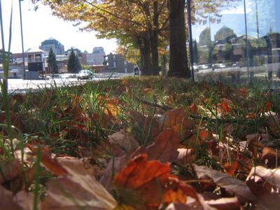 0907/IMG12970902.jpg