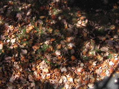0907/IMG12990902.jpg
