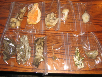 1007/IMG13231006.jpg