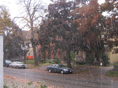 1107/IMG14241106.jpg