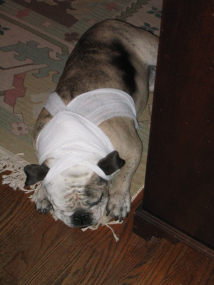 0307/IMG00230304.jpg