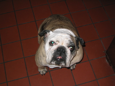 0307/IMG00270304.jpg