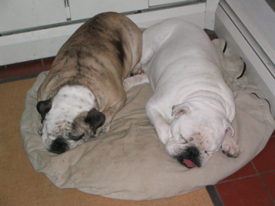 0307/IMG00380304.jpg