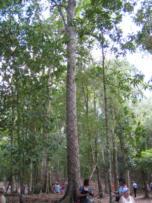 0507/IMG10980506.jpg