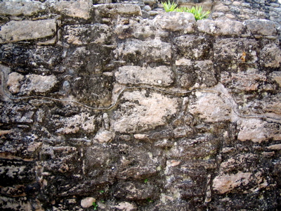 0507/IMG11020506.jpg