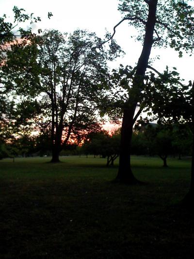 0807/IMG00990817.jpg