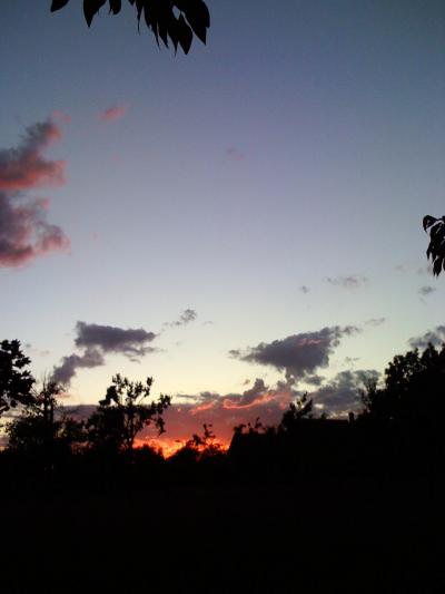 0807/IMG01000817.jpg