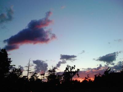0807/IMG01020817.jpg
