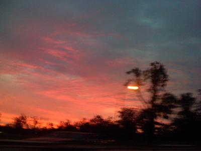 0807/Web40821.jpg