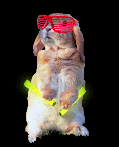 0210/RaverBunny0205.gif