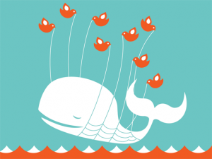 0708/Whale300x2250711.png