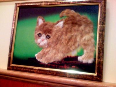 0907/Meow6721975740906.jpg