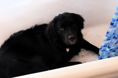 1005/ben-shower3335.jpg