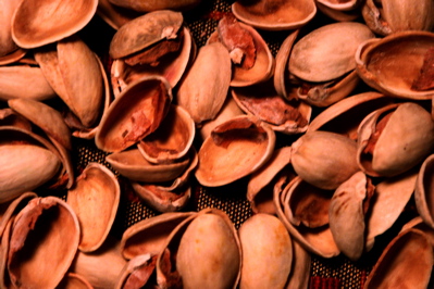 1005/nuts21911.jpg