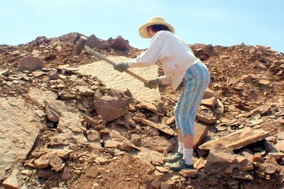 1005/quarry4750.jpg