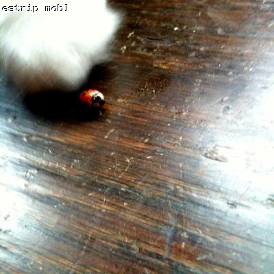 1009/photo_4aec74298ca5b_1031.jpg