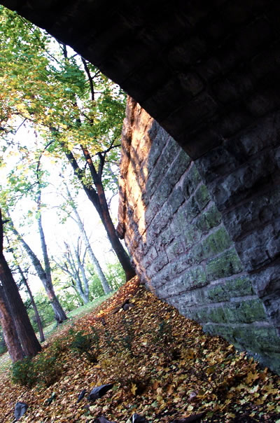 1105/delpark-nov-20050121.jpg