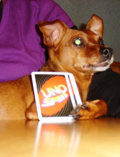 0108/Picture0190116.jpg