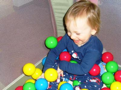 0108/Picture0320116.jpg