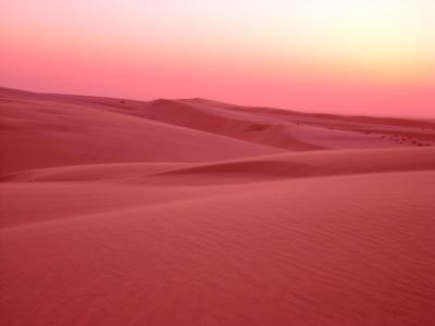 0308/Dunes350322.jpg 0308/Dunes350322.jpg