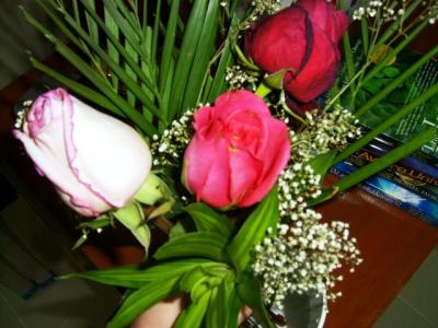 0508/1MoFlowers0511.jpg