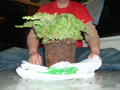 0409/DSCI00310406.jpg