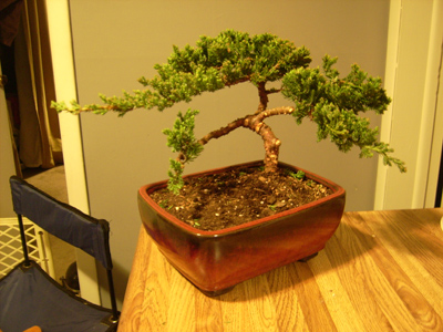 0409/DSCI00520406.jpg
