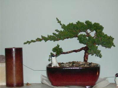 0409/DSCI00550406.jpg 0409/DSCI00550406.jpg