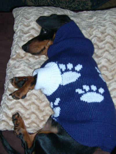 1108/Cute1118.jpg 1108/Cute1118.jpg