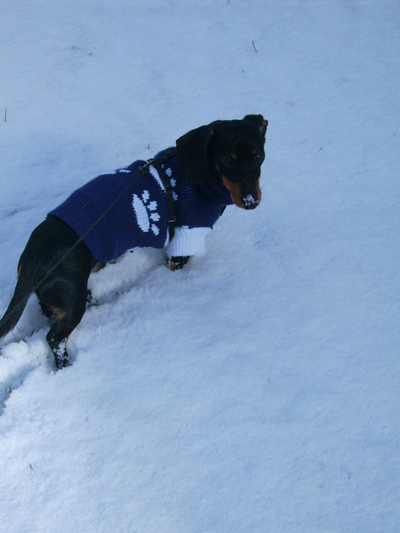 1108/Snow1118.jpg 1108/Snow1118.jpg