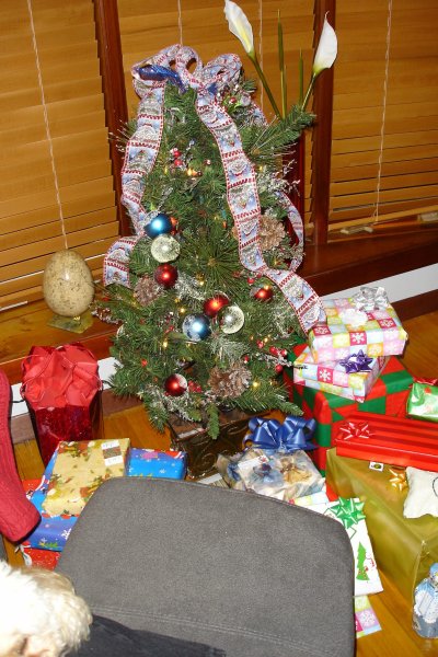 0107/Liltreewithpressies0101.jpg 0107/Liltreewithpressies0101.jpg