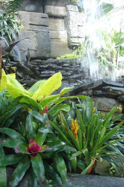 0309/Bg120318.jpg