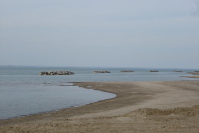 0406/daytrippers201814.jpg