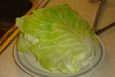0506/boiledveinedcabbage5316.jpg 0506/boiledveinedcabbage5316.jpg