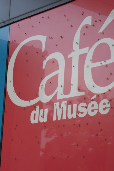 0606/castellanibugsoncafesign0919.jpg