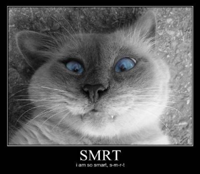 0607/Smrt0620.jpg