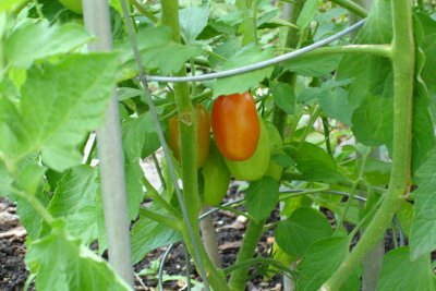 0707/Sooncome0727.jpg