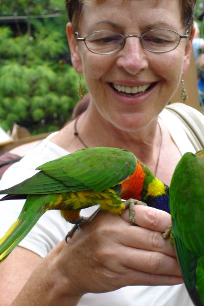 0806/momandbirds3105.jpg 0806/momandbirds3105.jpg