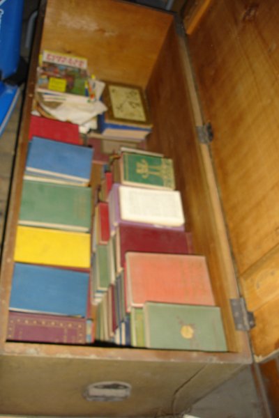 1006/booksblurrybutsorted4853.jpg