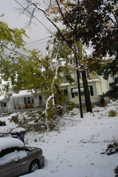 1006/downedlinesinsnow4155.jpg