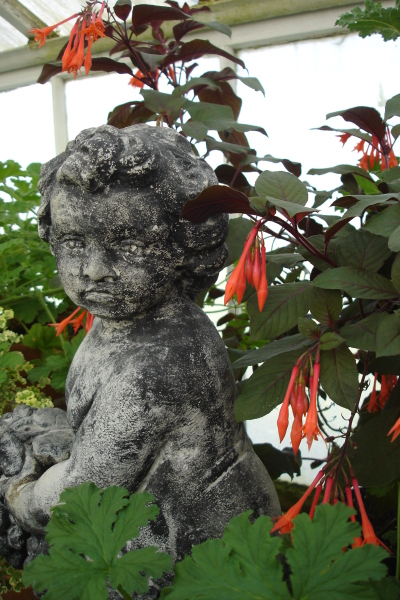 1008/Botanicalgardensredflowerswithstatue1024.jpg 1008/Botanicalgardensredflowerswithstatue1024.jpg