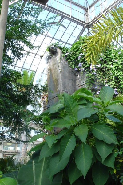 1008/Botanicalgardenswaterfall11024.jpg 1008/Botanicalgardenswaterfall11024.jpg