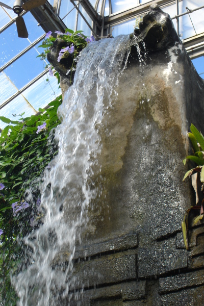 1008/Botanicalgardenswaterfall21024.jpg 1008/Botanicalgardenswaterfall21024.jpg