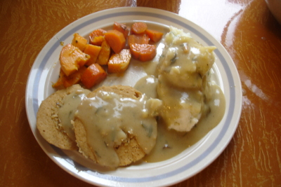 1108/Myplatetofurkey081128.jpg