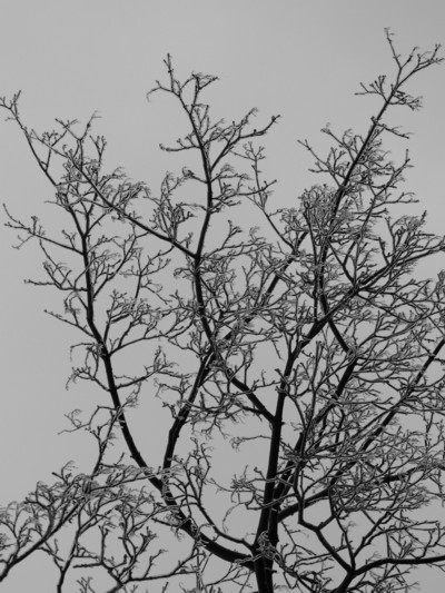 0107/P10900280118.jpg