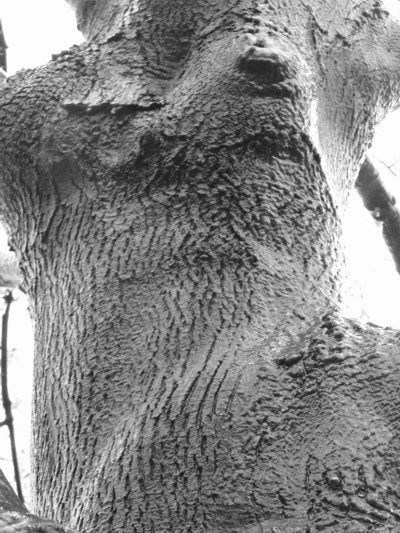 0107/P10900320118.jpg