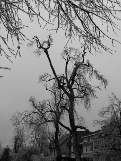 0107/P10900810118.jpg