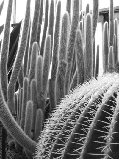 0209/BotanicalGardens0221.jpg