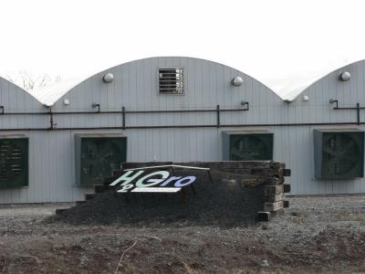 0306/H2gro3221.jpg